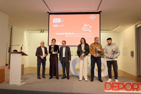 Premios Vide 25
